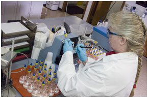Feed Mill Lab