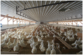 Feed Mill Lab