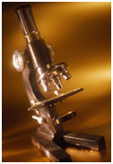microscope